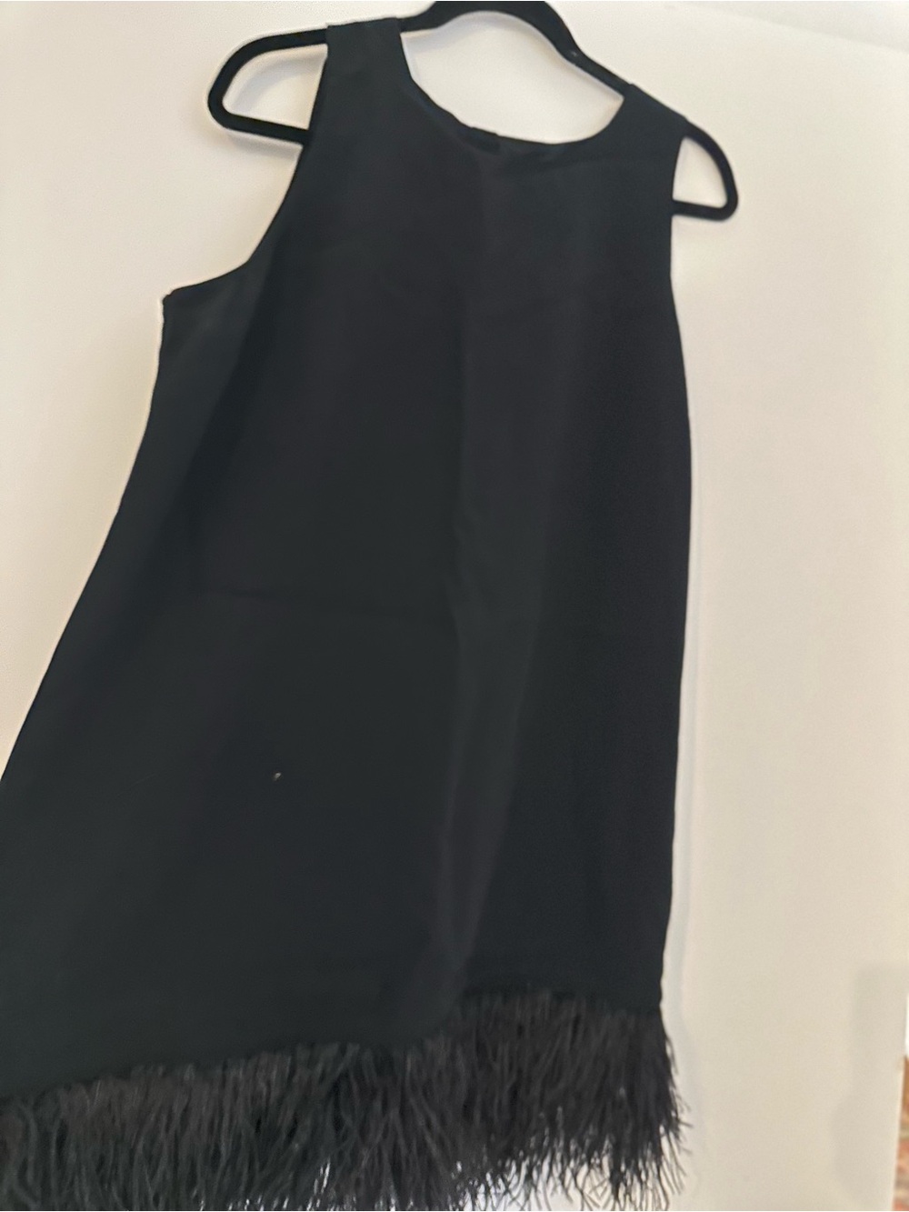 J. Crew Black Sleeveless Dress with Feather Trim - Picture 3 of 4